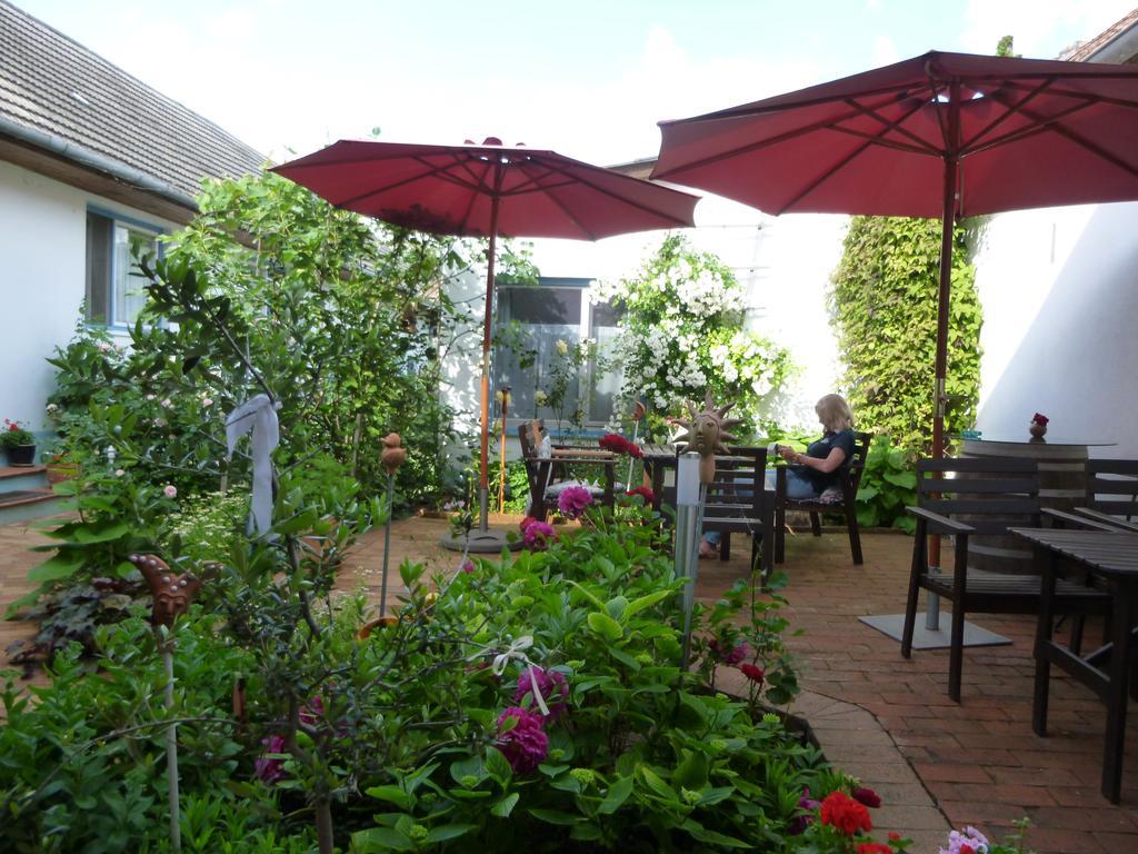 Stieglerhof Kg -Apartments Illmitz- Εξωτερικό φωτογραφία