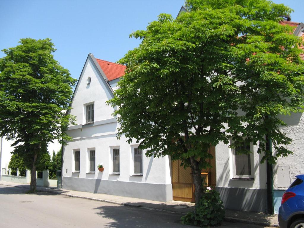 Stieglerhof Kg -Apartments Illmitz- Εξωτερικό φωτογραφία